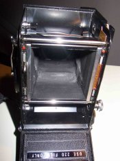 tlr2.jpg