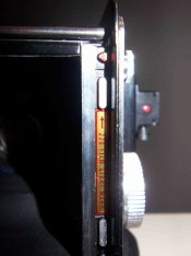 tlr4.jpg