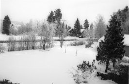 #13  ISO 25.jpg