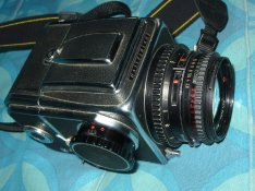 IMG_3177.JPG