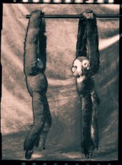 Negative Solarization.jpg