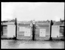 Dog Park@ f8, 645.jpg