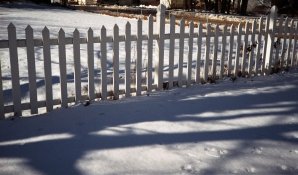 img111.jpg
