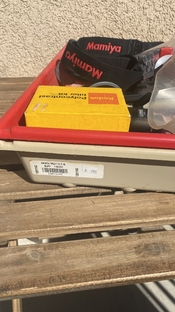 IMG_4452 (1).jpeg