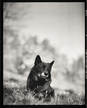 RS_PX67_105mm_1.jpg