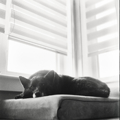 rs_21.12.05.Flexaret.80mm.Foma400.ISO200.HC110_H.V850.Documentary_10.jpg