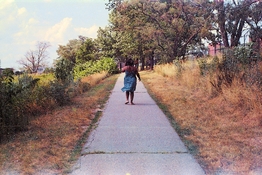 250D A.JPG