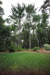 L1000089.jpg