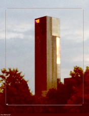 golden LB-2022-07-31 103623.jpg