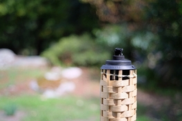 DSCF4151.jpg