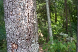 DSCF4145.jpg