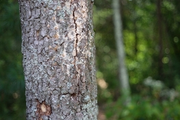 DSCF4144.jpg