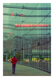 Seattle Red Shirt 5.jpg