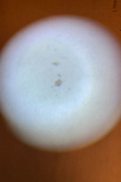 10.5cm_f2_flashlight.jpg