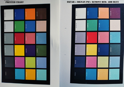 color checker corrected.jpg