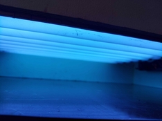 20220910_104431.jpg