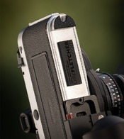 Wirgin Conversion w 47mm bottom.jpg