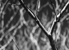1414_14.jpg