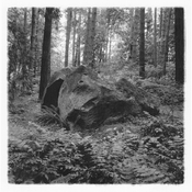 13-Knuckles-810x810-b-w.jpg