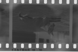 E50CFBBD-8872-4FAE-8007-05572F6D21AB.png