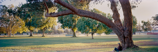 617202210-MitchellPark 001-positive-Edit.jpg