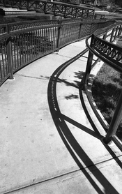 Fence Shadows 02 (Oct 2022 MSA).jpg