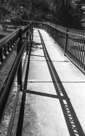 Fence Shadows 03 (Oct 2022 MSA).jpg