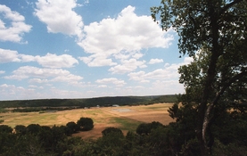 2022-10-09 Lomo400 N2020 FPP 015.jpg