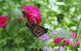 2022-10-09 Lomo400 N2020 FPP 027.jpg