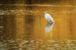 20181229-8314-Edit.jpg
