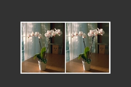 7DDE79D5-76B6-47EC-96FA-79E1EBA54581.jpeg