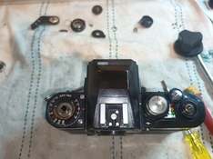 20221013_171134.jpg
