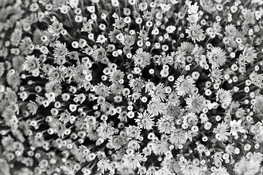 R2022-10-14-0007_ID.jpg
