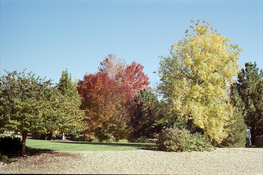 pic2.jpg