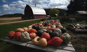 Driftless 2022-10-13.jpg