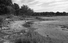 2022-10-02 Rollei400S-RETIIIc-Rod1+25003 - Copy.jpg