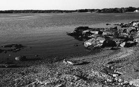 2022-10-02 Rollei400S-RETIIIc-Rod1+25011 - Copy.jpg
