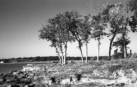 2022-10-02 Rollei400S-RETIIIc-Rod1+25013 - Copy.jpg