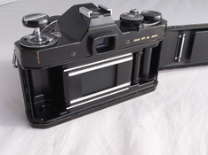 R1114577.JPG