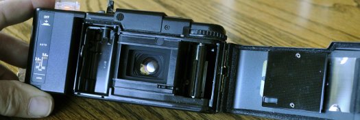 _DSC0798pLR.jpg