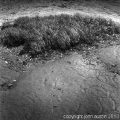 jbaphoto790918D7.jpg jbaphoto790918D7.jpg