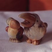 Birds.jpg
