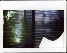 Untitled-37.jpg