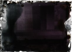 2-24-12 ortho.jpg
