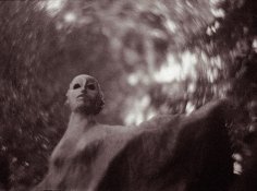 swirl02.jpg