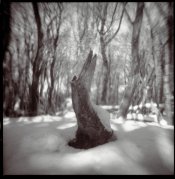 vinter-rold-petzval-(39).jpg