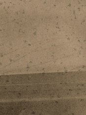 lith print 10001.jpg