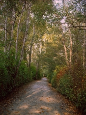 Fall Colours and Shadows-53b-2022-10-17.jpg Fall Colours and Shadows-53b-2022-10-17.jpg