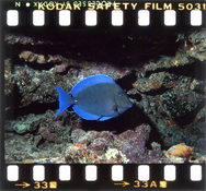 color restore aotuo colo ICE012-3-2.jpg