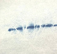 316543060_10167017624500445_9130514987792660991_n.jpg